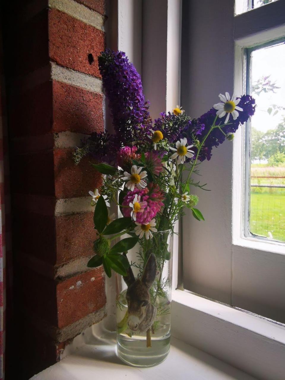 Trekkershut - Tiny House - Hikers Cottage Wijster Exterior foto